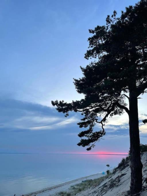 Campolohel- Przyczepa Kempingowa Esterno foto