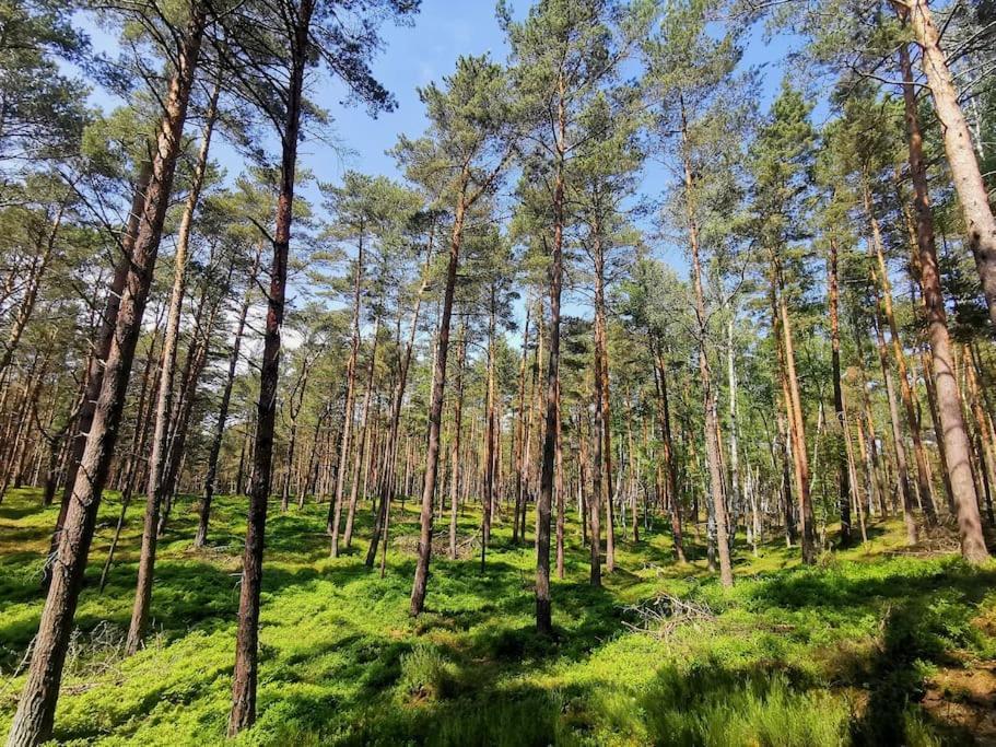 Campolohel- Przyczepa Kempingowa Esterno foto